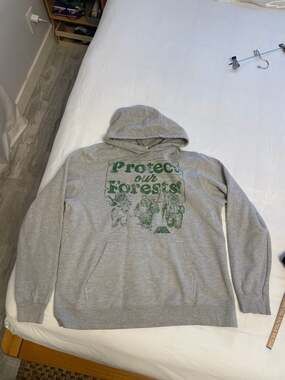 Men's Star Wars Ewoks Protect Our Forests Camp Hoodie, vintage wash